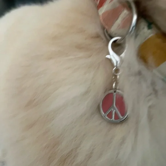☮️HOST PICK! Peace pet charm - Picture 4 of 7